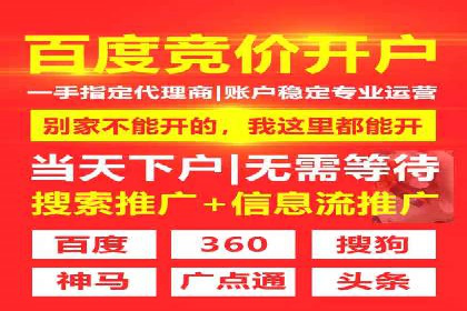 某电商平台的SEM服务托管全流程案例